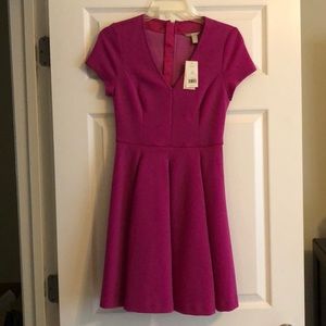 NWT Banana Republic Mauve dress